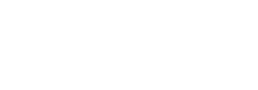 INSEG